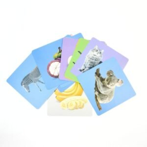 كروت الرؤية البصرية التعليمية | Baby Vision Trigger Cards