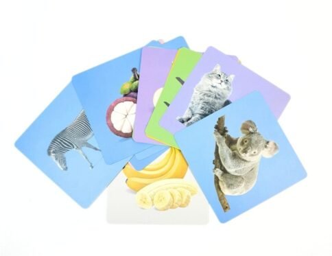 كروت الرؤية البصرية التعليمية | Baby Vision Trigger Cards