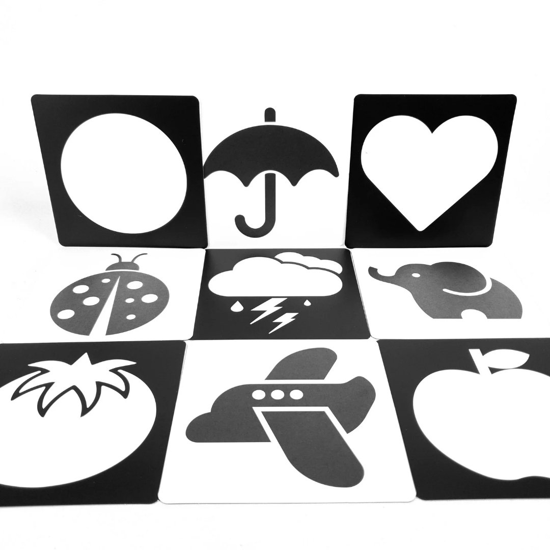 20251101_113312_0002