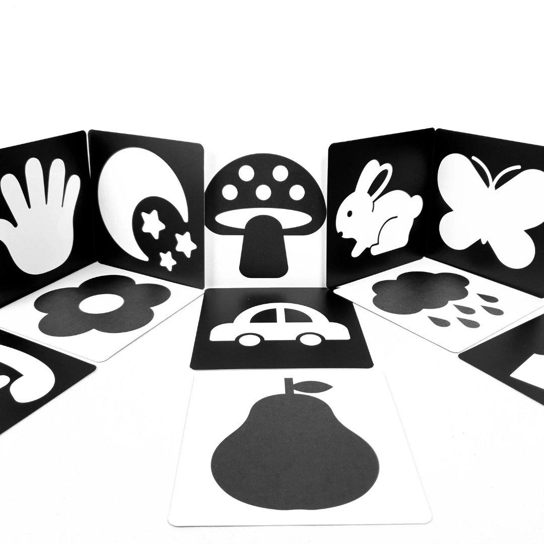 20251101_113311_0000